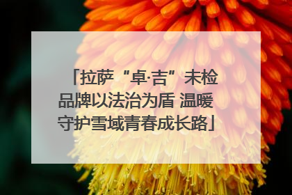 拉萨“卓·吉”未检品牌以法治为盾 温暖守护雪域青春成长路