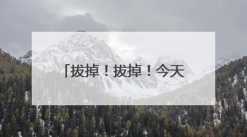 拔掉！拔掉！今天下班前，杭州人务必检查下自己的车
