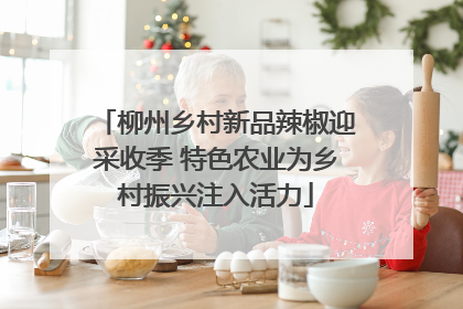 柳州乡村新品辣椒迎采收季 特色农业为乡村振兴注入活力