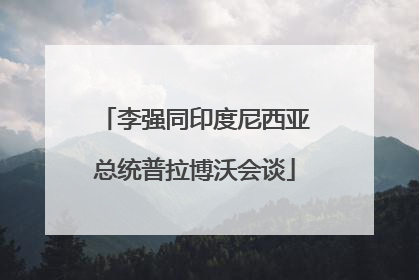 李强同印度尼西亚总统普拉博沃会谈