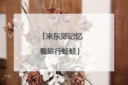 来东郊记忆 看旅行蛙蛙