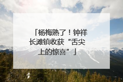 杨梅熟了！钟祥长滩镇收获“舌尖上的惊喜”