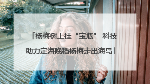 杨梅树上挂“宝瓶” 科技助力定海晚稻杨梅走出海岛