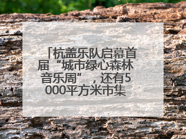 杭盖乐队启幕首届“城市绿心森林音乐周”，还有5000平方米市集、60余场免费活动等你来