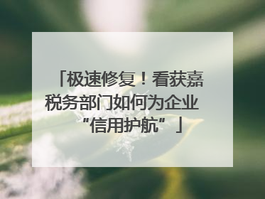 极速修复！看获嘉税务部门如何为企业“信用护航”