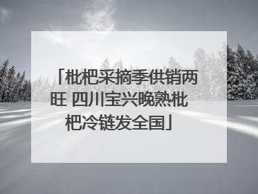 枇杷采摘季供销两旺 四川宝兴晚熟枇杷冷链发全国