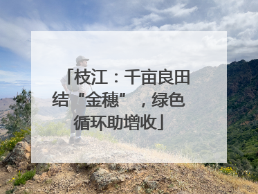 枝江：千亩良田结“金穗”，绿色循环助增收