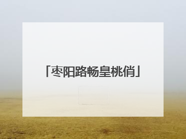 枣阳路畅皇桃俏