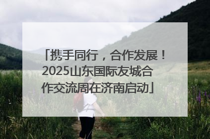携手同行，合作发展！2025山东国际友城合作交流周在济南启动