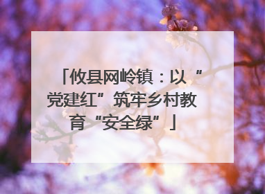 攸县网岭镇：以“党建红”筑牢乡村教育“安全绿”
