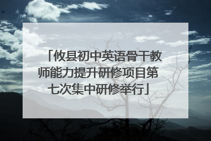 攸县初中英语骨干教师能力提升研修项目第七次集中研修举行