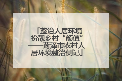 整治人居环境 扮靓乡村“颜值”——菏泽市农村人居环境整治侧记