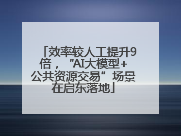 效率较人工提升9倍，“AI大模型+公共资源交易”场景在启东落地