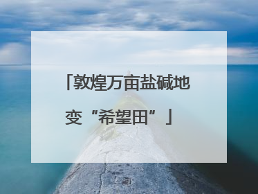敦煌万亩盐碱地变“希望田”
