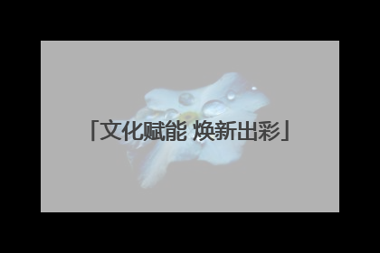文化赋能 焕新出彩