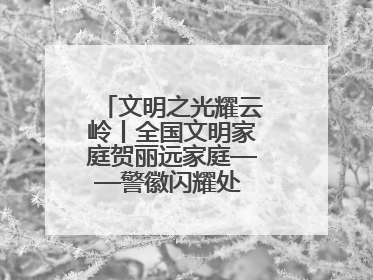 文明之光耀云岭丨全国文明家庭贺丽远家庭——警徽闪耀处 家风铸忠诚