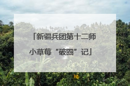 新疆兵团第十二师小草莓“破圈”记