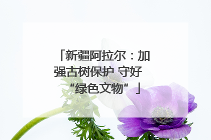 新疆阿拉尔：加强古树保护 守好“绿色文物”