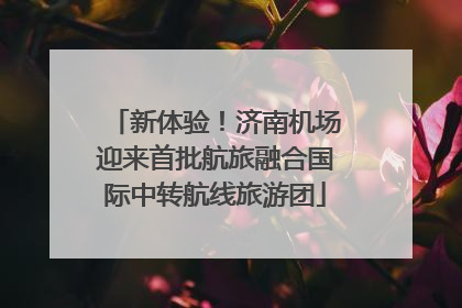 新体验！济南机场迎来首批航旅融合国际中转航线旅游团