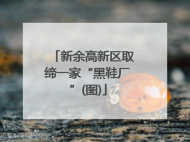 新余高新区取缔一家“黑鞋厂”(图)