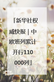 新华社权威快报｜中欧班列累计开行110000列