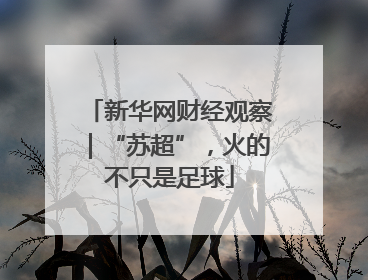 新华网财经观察｜“苏超”，火的不只是足球