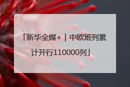 新华全媒+｜中欧班列累计开行110000列