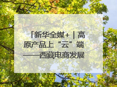 新华全媒+｜高原产品上“云”端——西藏电商发展一线观察