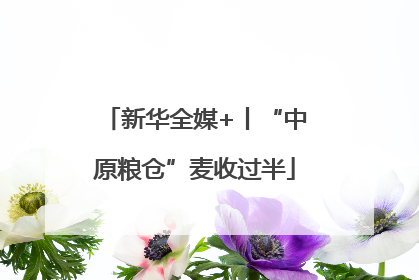 新华全媒+丨“中原粮仓”麦收过半