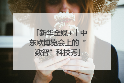 新华全媒+丨中东欧博览会上的“数智”科技秀