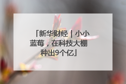 新华财经｜小小蓝莓，在科技大棚种出9个亿