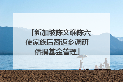 新加坡陈文确陈六使家族后裔返乡调研侨捐基金管理