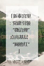 新泰宫里：党建引领“微治理” 点亮基层“网格红”
