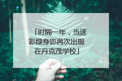 时隔一年，当迷彩绿身影再次出现在丹克茂学校