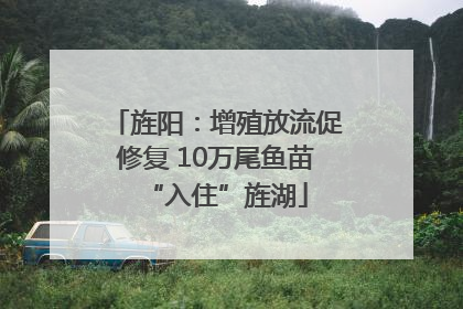 旌阳：增殖放流促修复 10万尾鱼苗“入住”旌湖