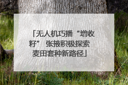 无人机巧播“增收籽” 张掖积极探索麦田套种新路径