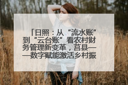 日照：从“流水账”到“云台账”看农村财务管理新变革，莒县——数字赋能激活乡村振兴“一池春水”