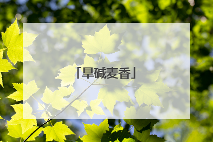 旱碱麦香
