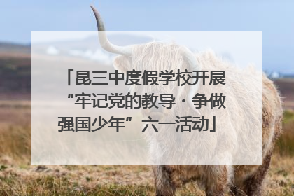 昆三中度假学校开展“牢记党的教导・争做强国少年”六一活动