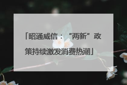 昭通威信：“两新”政策持续激发消费热潮