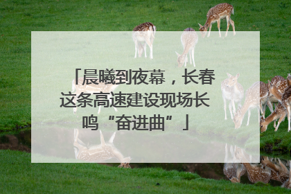 晨曦到夜幕，长春这条高速建设现场长鸣“奋进曲”
