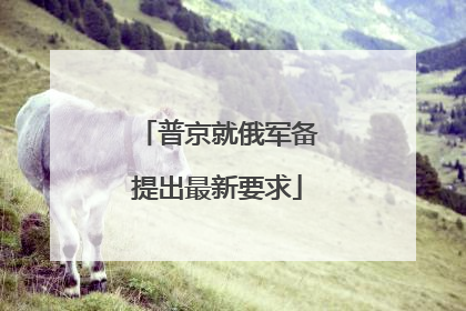 普京就俄军备提出最新要求