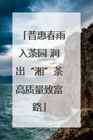 普惠春雨入茶园 润出“湘”茶高质量致富路