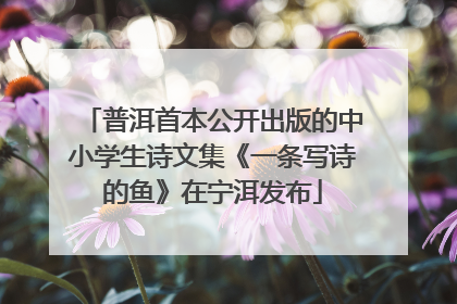 普洱首本公开出版的中小学生诗文集《一条写诗的鱼》在宁洱发布
