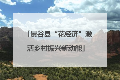 景谷县“花经济”激活乡村振兴新动能