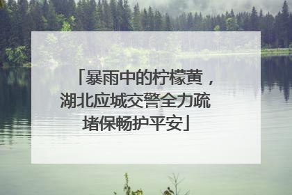 暴雨中的柠檬黄，湖北应城交警全力疏堵保畅护平安