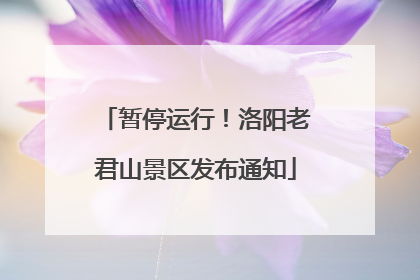 暂停运行！洛阳老君山景区发布通知