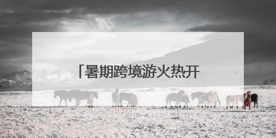 暑期跨境游火热开启 近千名旅客从连云港口岸出入境