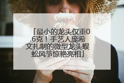 最小的龙头仅重0.6克！手艺人庞希文扎制的微型龙头蜈蚣风筝惊艳亮相