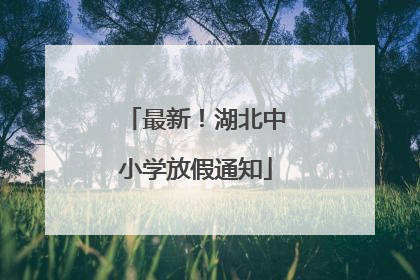 最新！湖北中小学放假通知